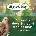 morning-song-dove-ground-feeding-wild-bi-5.jpg