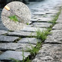 long-handle-crack-weeder-crevice-weeding-6.jpg