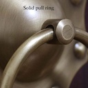 antique-ring-door-knocker-antique-bronze-2.jpg