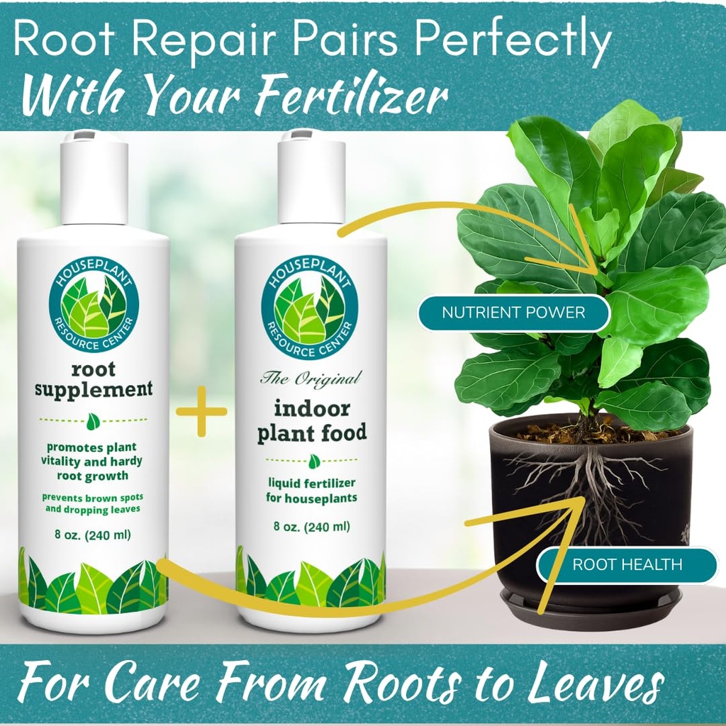 root-rot-repair-for-houseplants-recovery-6.jpg