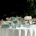 175-pcs-sage-green-plates-and-napkins-25-4.jpg