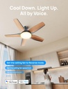 dreo-smart-ceiling-fans-with-lights-low--6.jpg
