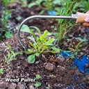berrybird-weed-puller-crack-weeder-culti-3.jpg