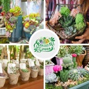 sprout-n-green-live-succulent-plants-5-p-3.jpg