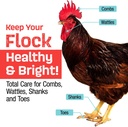 flock-shield-respiratory-aid-for-poultry-2.jpg
