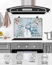 snowman-countertop-burners-protection-ma-5.jpg