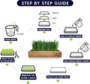 self-watering-cat-grass-kit-hands-down-t-3.jpg