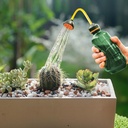 mini-watering-can-indoor-plants-small-se-3.jpg