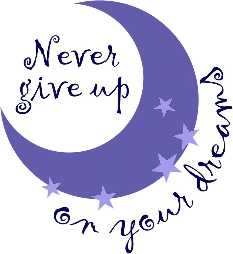 cafepress-never-give-up-on-dreams-reusab-2.jpg
