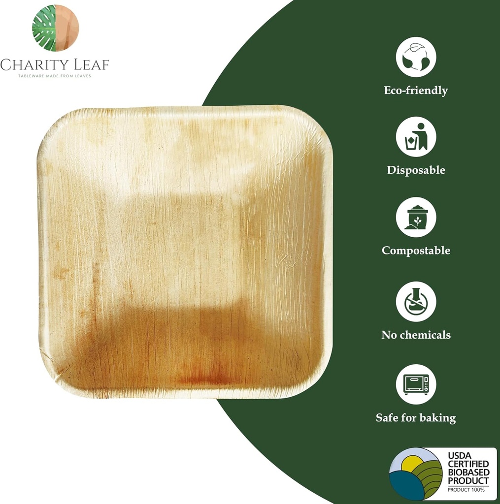 charity-leaf-disposable-palm-leaf-5-squa-2.jpg