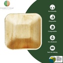 charity-leaf-disposable-palm-leaf-5-squa-2.jpg