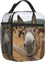 funny-donkey-reusable-lunch-bag-lunch-bo-2.jpg