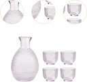 sake-pot-set-glass-sake-set-unique-party-5.jpg