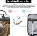 funny-donkey-reusable-lunch-bag-lunch-bo-5.jpg