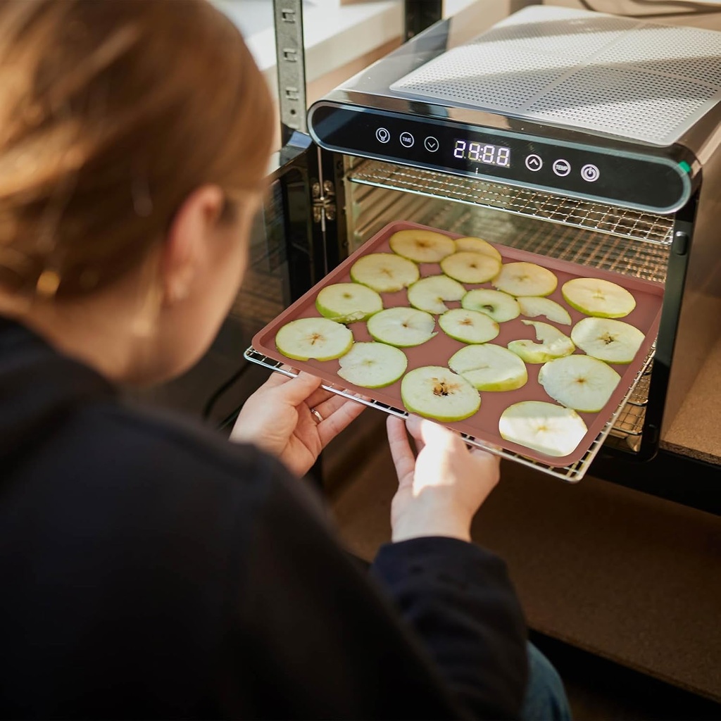 6-pack-silicone-dehydrator-trays-nonstic-4.jpg