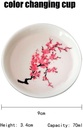 magic-cup-cold-temperature-color-changin-5.jpg