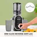 susteas-cold-press-juicer-300w-53-large--5.jpg