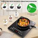 2200w-portable-induction-cooktop-electri-4.jpg