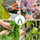 harfington-3pcs-gardening-scissors-65-st-6.jpg