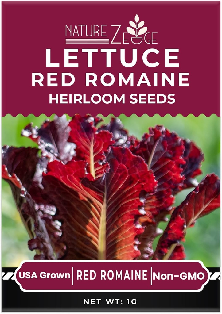 lettuce-seeds-for-planting-red-romaine-l-3.jpg