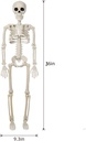 36-skeleton-halloween-decoration-3ft-ful-2.jpg