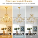 crystal-chandelier-5-light-gold-chandeli-3.jpg