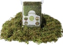 fake-green-moss-for-potted-plants-4oz-ar-2.jpg