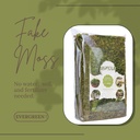 fake-green-moss-for-potted-plants-4oz-ar-4.jpg