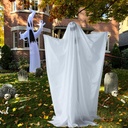 halloween-animatronics-decorations-clear-5.jpg