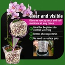 remiawy-orchid-pot-9-pack-orchid-pots-wi-4.jpg
