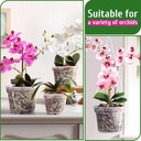 remiawy-orchid-pot-9-pack-orchid-pots-wi-5.jpg