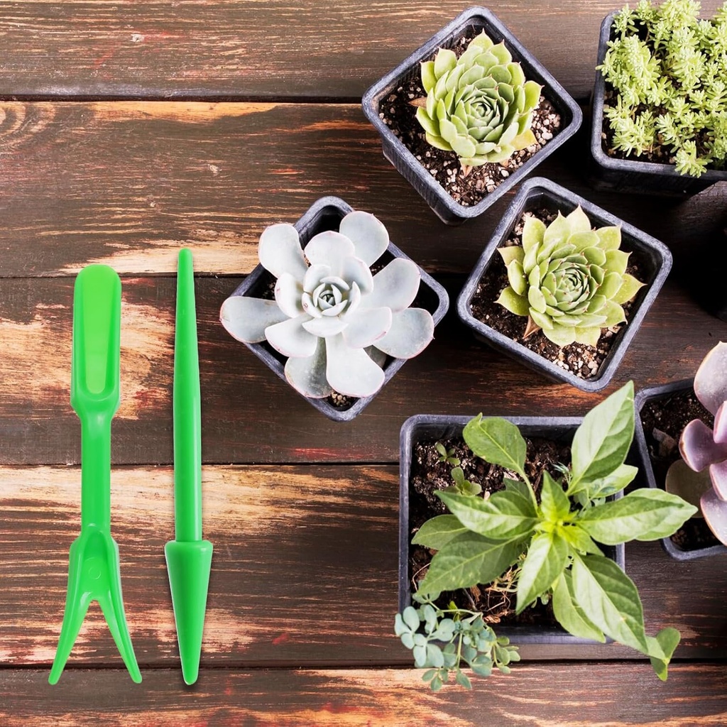 antrader-mini-garden-hand-succulent-tran-3.jpg