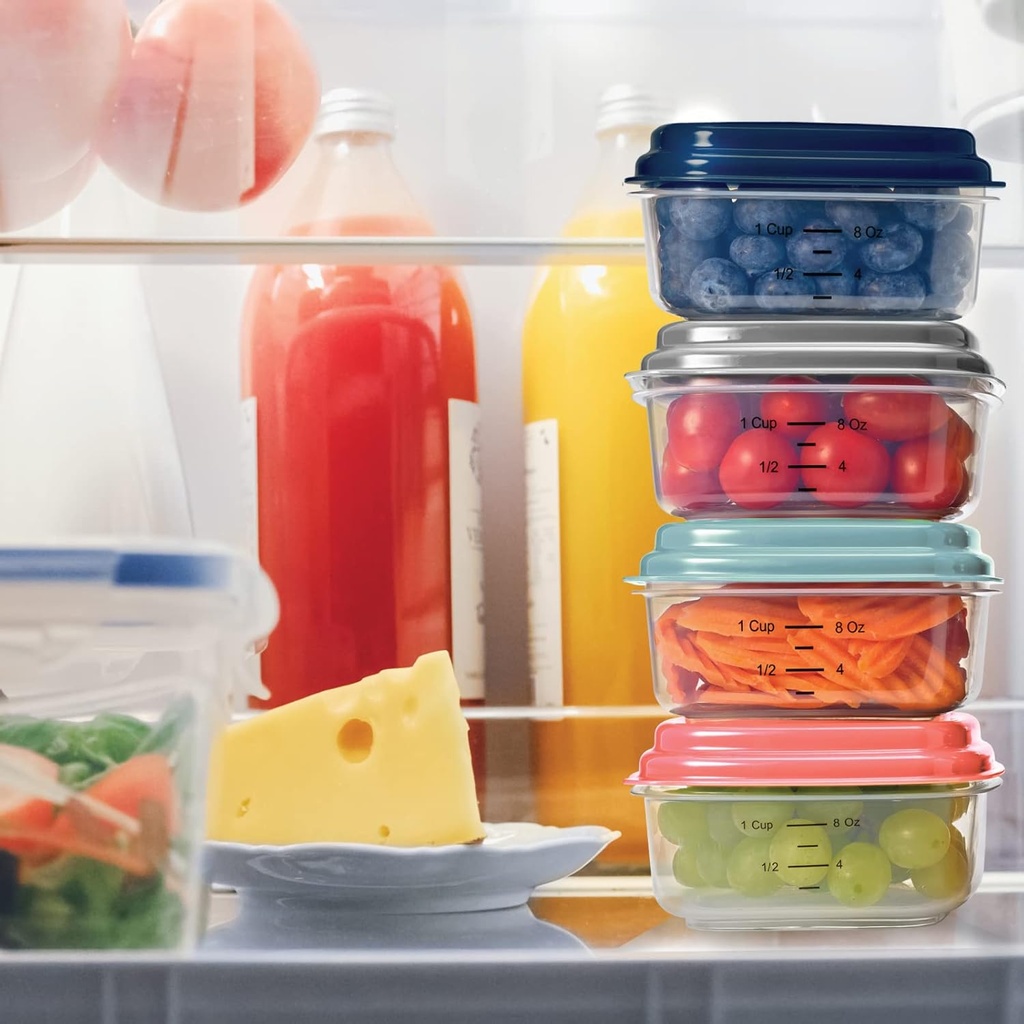 fit-fresh-small-plastic-containers-with--5.jpg