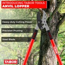 tabor-tools-gg12a-anvil-lopper-with-comp-2.jpg