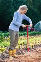 garden-weasel-garden-claw---long-handle--3.jpg