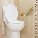 grab-bars-for-bathtubs-and-showers--1-14-3.jpg