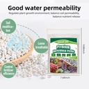 2qt-perlite-for-plants-organic-perlite-h-2.jpg
