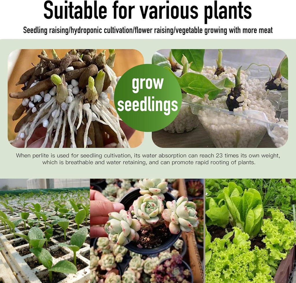 2qt-perlite-for-plants-organic-perlite-h-3.jpg
