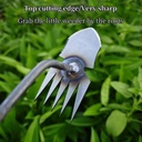 gardening-hand-weeder-tool-2025-upgraded-4.jpg