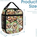 sloth-lunch-box---cute-reusable-sloth-lu-3.jpg
