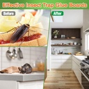 30-pcs-cricket-traps-indoor-for-trapping-3.jpg