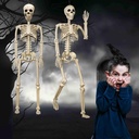 2-pack-36halloween-skeleton---3-ft-life--3.jpg