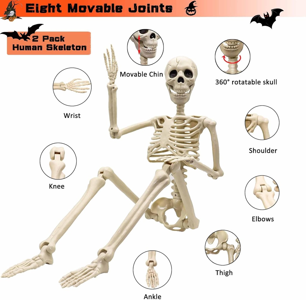 2-pack-36halloween-skeleton---3-ft-life--5.jpg