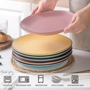 ceramic-dinner-plates-set---105-inch-lar-4.jpg