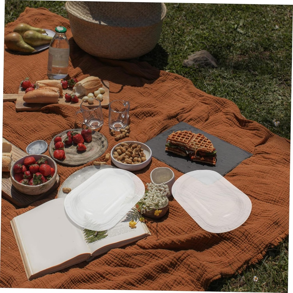 10pcs-portable-picnic-boxes-for-sweets-c-4.jpg
