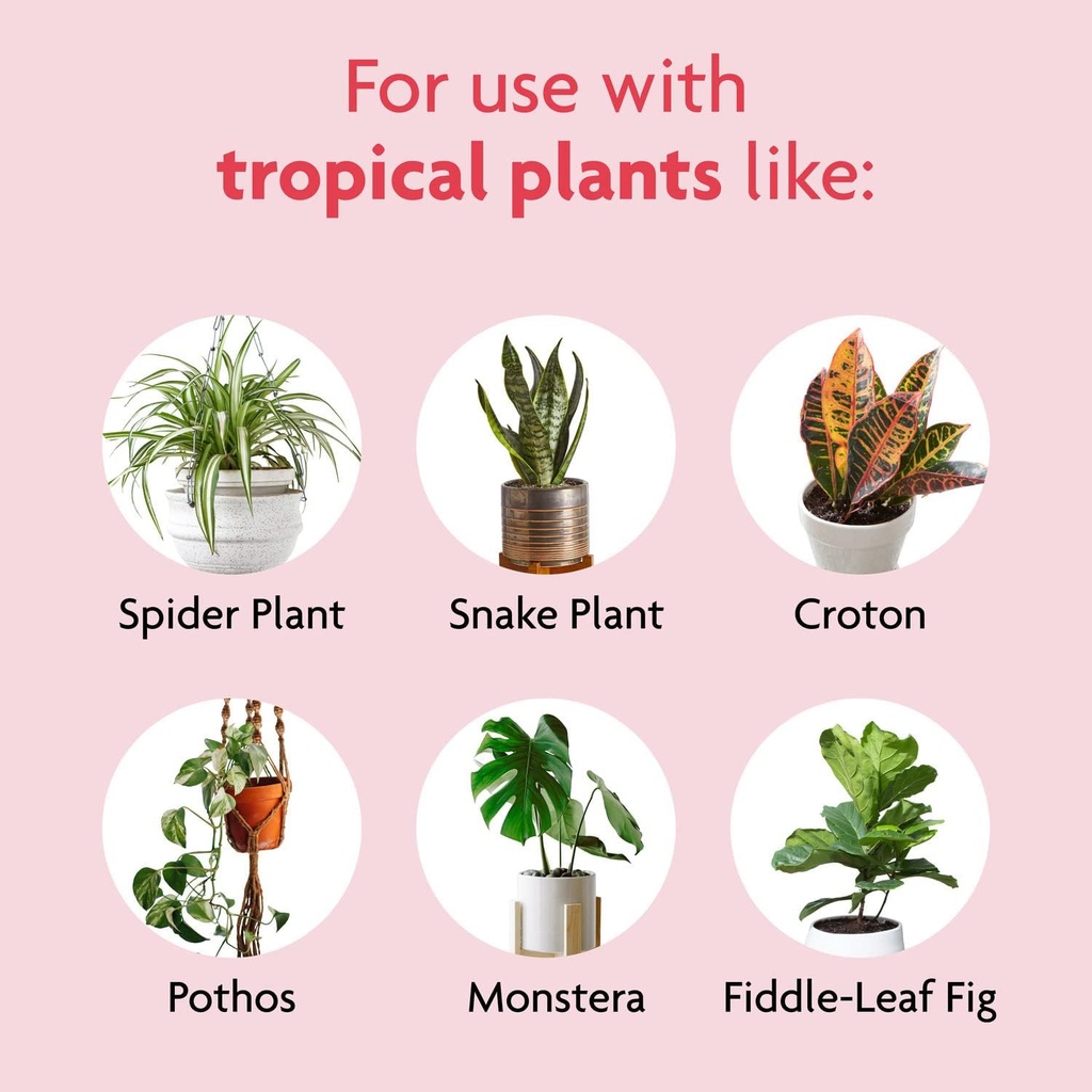 miracle-gro-tropical-houseplant-food---l-5.jpg