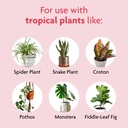 miracle-gro-tropical-houseplant-food---l-5.jpg