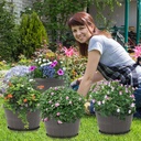 quarut-10-inch-plastic-flower-pots-for-o-6.jpg