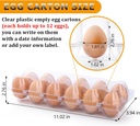 standard-plastic-egg-carton-100-pack-of--2.jpg