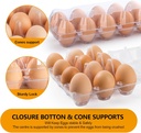 standard-plastic-egg-carton-100-pack-of--4.jpg